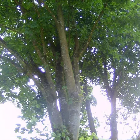 Am Radweg By Interhome Appartement *