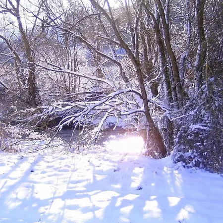 Am Radweg By Interhome * Pittenbach