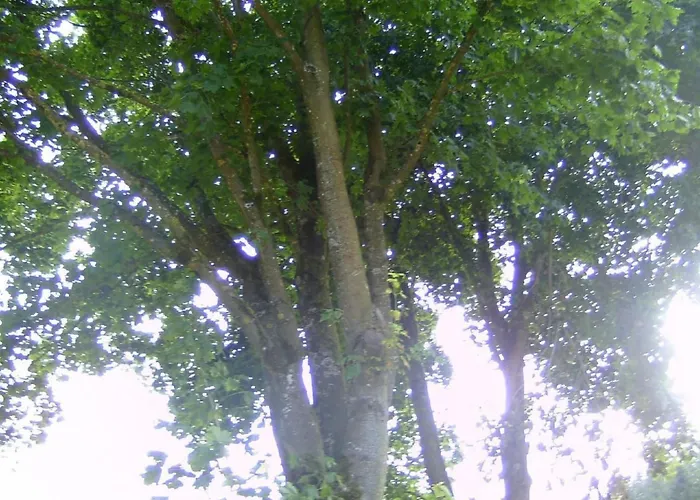 Am Radweg By Interhome Apartment *