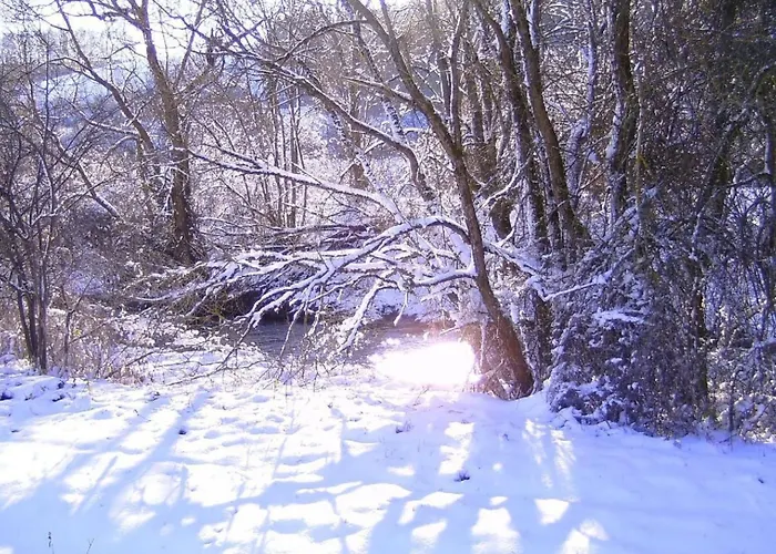 Am Radweg By Interhome * Pittenbach